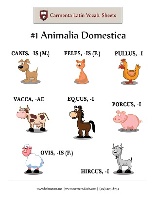 carmenta latin tutors resource image 01-animalia-domestica thumbnail