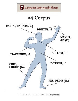 carmenta latin tutors resource image 04-corpus thumbnail