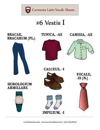carmenta latin tutors resource image 06-vestis-i thumbnail