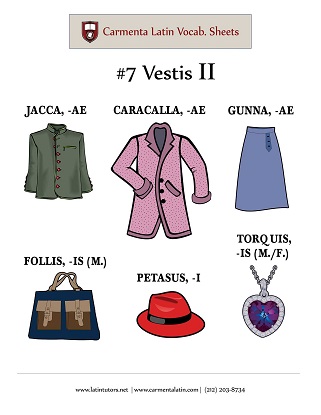 carmenta latin tutors resource image 07-vestis-ii thumbnail