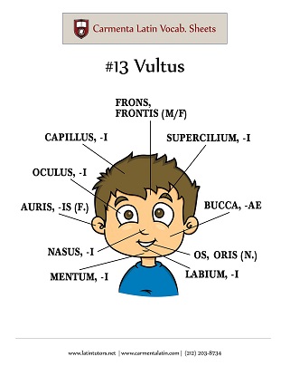carmenta latin tutors resource image 13-vultus thumbnail
