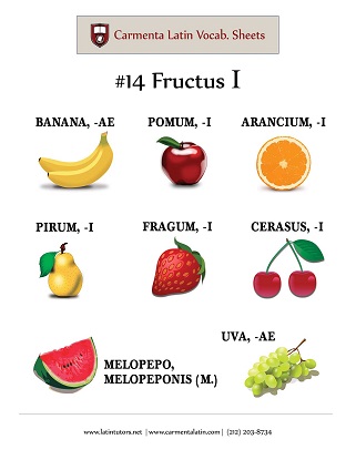 carmenta latin tutors resource image 14-fructus-i thumbnail