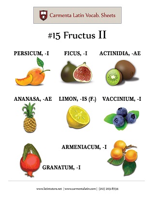 carmenta latin tutors resource image 15-fructus-ii thumbnail