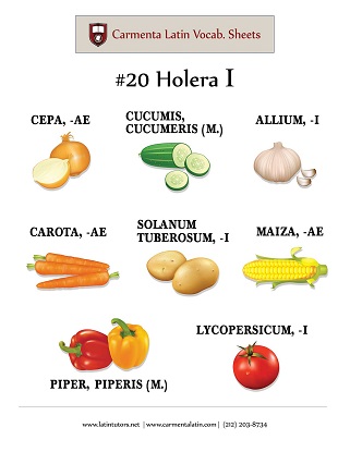 carmenta latin tutors resource image 20-holera-i thumbnail
