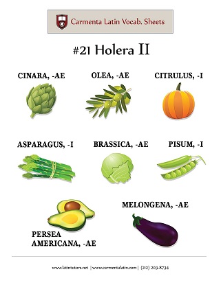 carmenta latin tutors resource image 21-holera-ii thumbnail