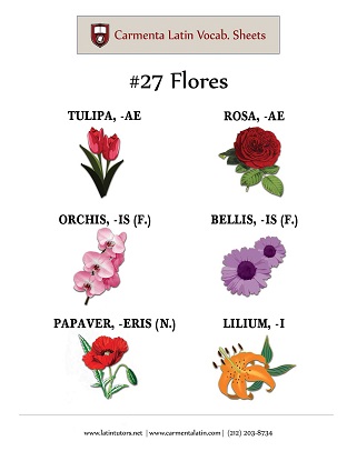 carmenta latin tutors resource image 27-flores thumbnail