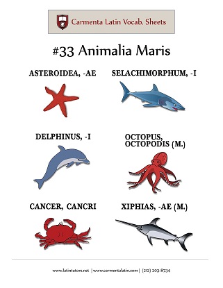 carmenta latin tutors resource image 33-animalia-maris thumbnail