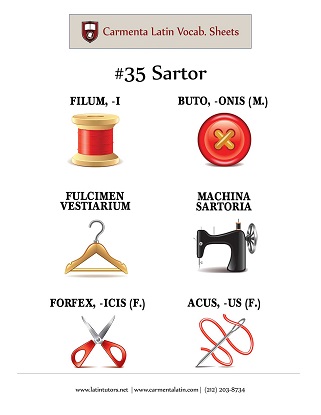 carmenta latin tutors resource image 35-sartor thumbnail