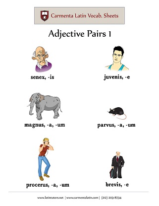 carmenta latin tutors resource image adjective-pairs-01 thumbnail