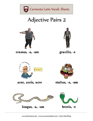 carmenta latin tutors resource image adjective-pairs-02 thumbnail