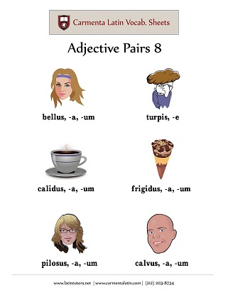 carmenta latin tutors resource image adjective-pairs-08 thumbnail