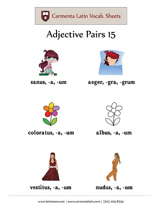 carmenta latin tutors resource image adjective-pairs-15 thumbnail