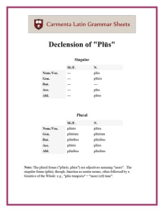 carmenta latin tutors resource image declension-plus thumbnail