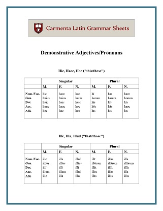 carmenta latin tutors resource image demonstrative-adjectives-pronouns thumbnail