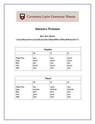 carmenta latin tutors resource image intensive-adjective-pronoun thumbnail
