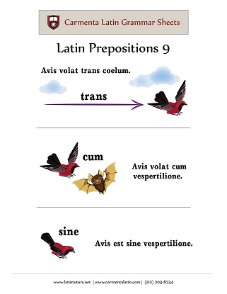 carmenta latin tutors resource image latin-prepositions-9 thumbnail