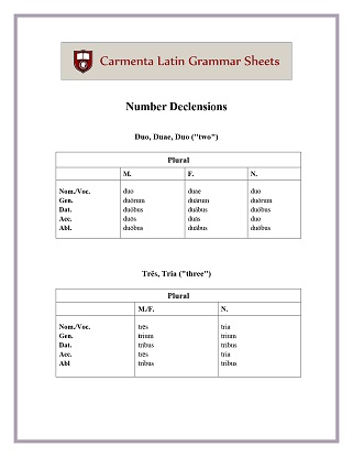 carmenta latin tutors resource image number-declensions thumbnail